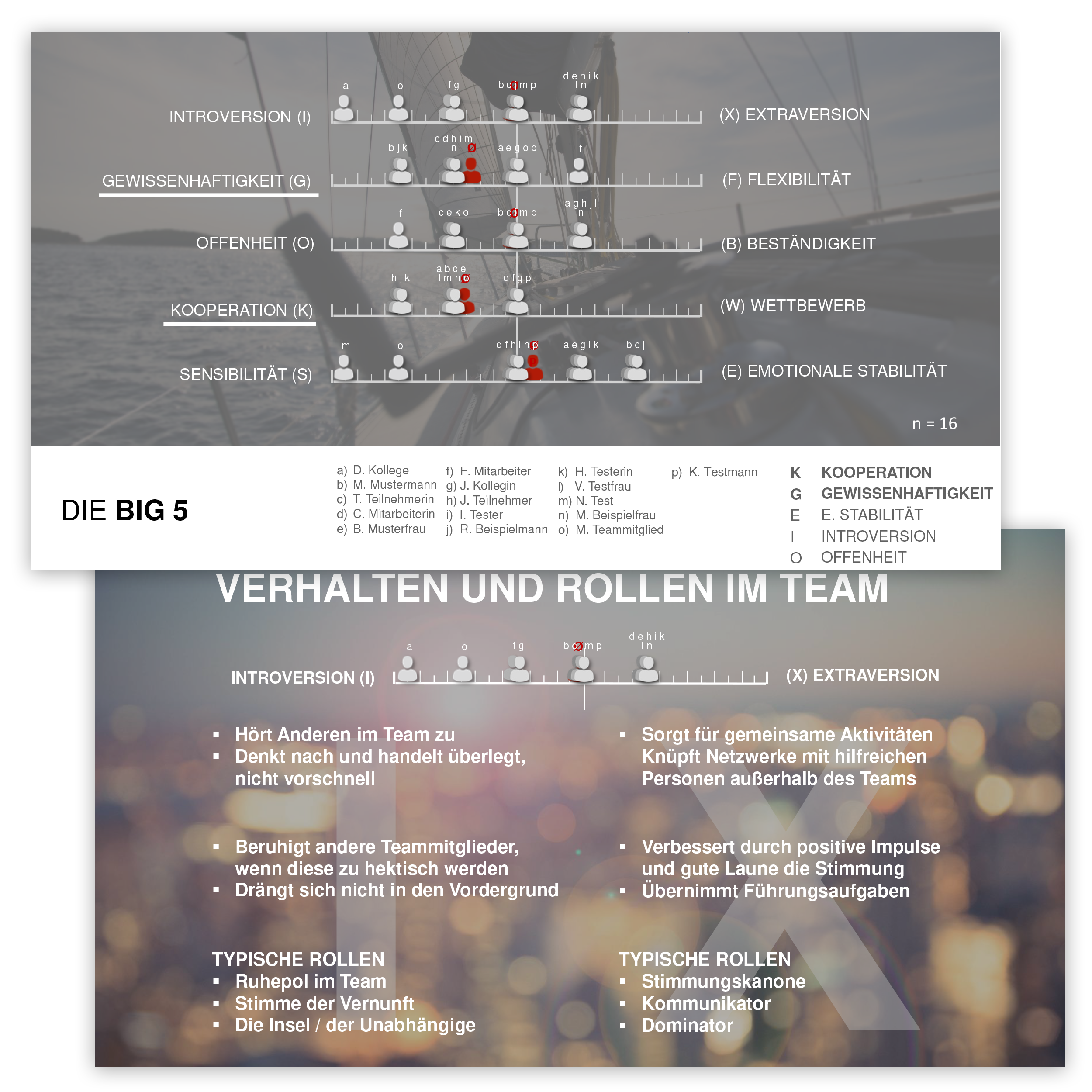profiles_team_check